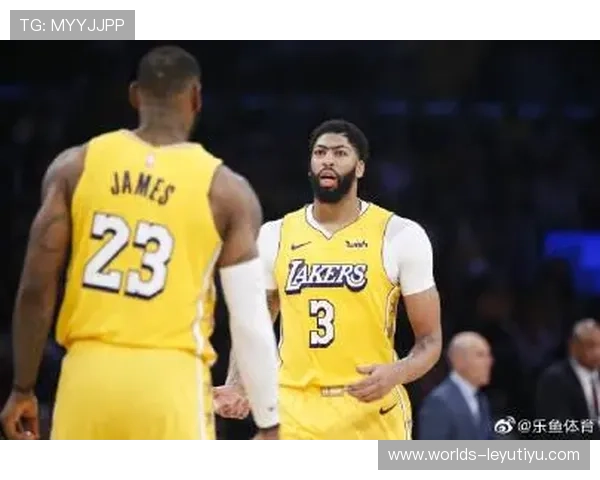 乐鱼体育登录安全措施解析，保障你的个人信息安全