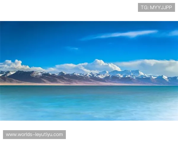 乐鱼官方在线登录入口下载安装指南,让玩家快速体验乐鱼丰富多彩的游戏世界 乐鱼官方在线登录入口下载安装指南,让玩家快速体验乐鱼丰富多彩的游戏世界