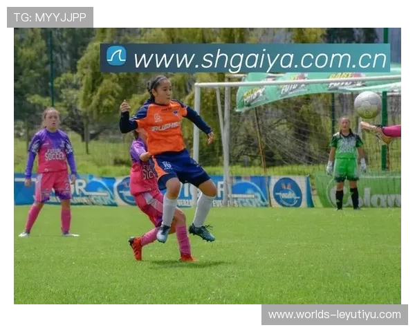 乐鱼手机登陆账号安全保障措施提升账号安全性的方法介绍