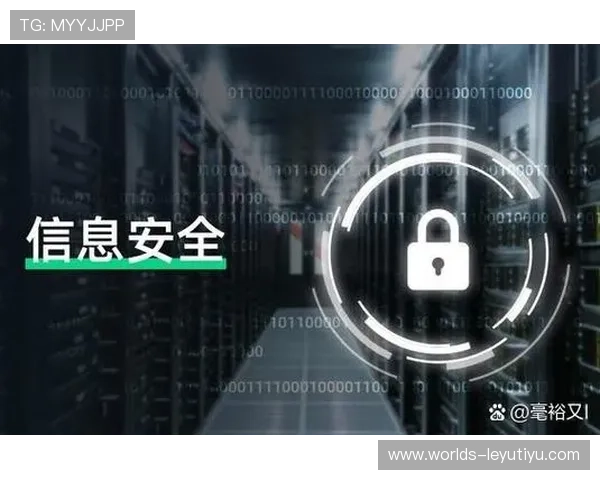 乐鱼电子平台安全保障措施详解保障玩家资金与信息安全